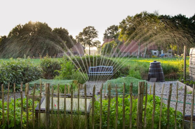 Woda w ogrodzie, czyli jaki system nawadniania wybrać?
