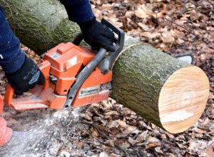 Cięcie drewna – o czym warto pamiętać?